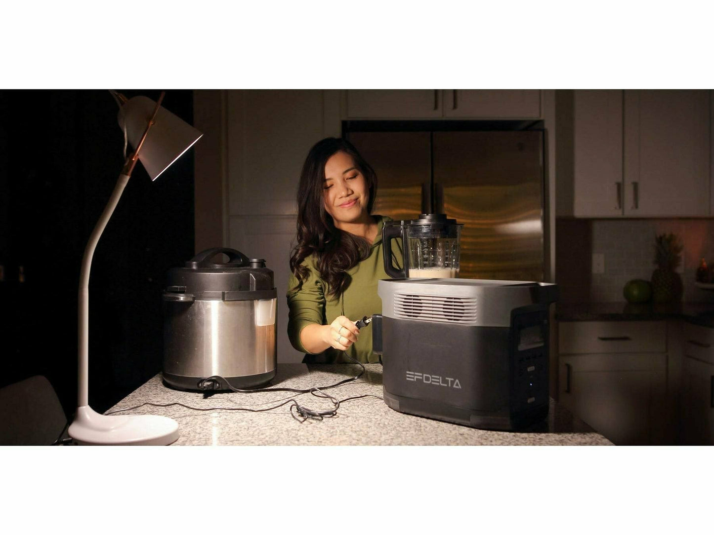 EcoFlow Delta 1000 Portable Power Station