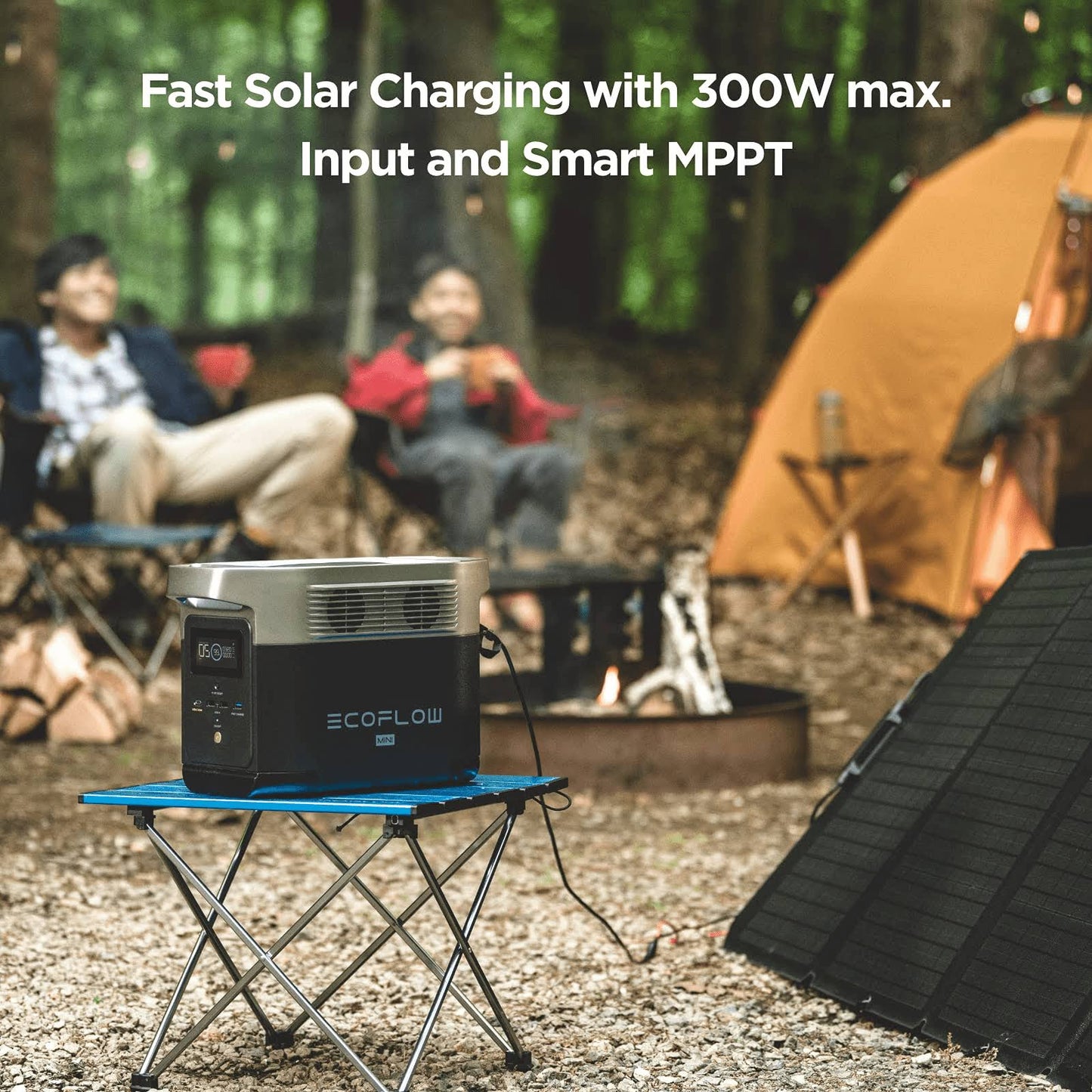 EcoFlow Delta Mini Portable Power Station