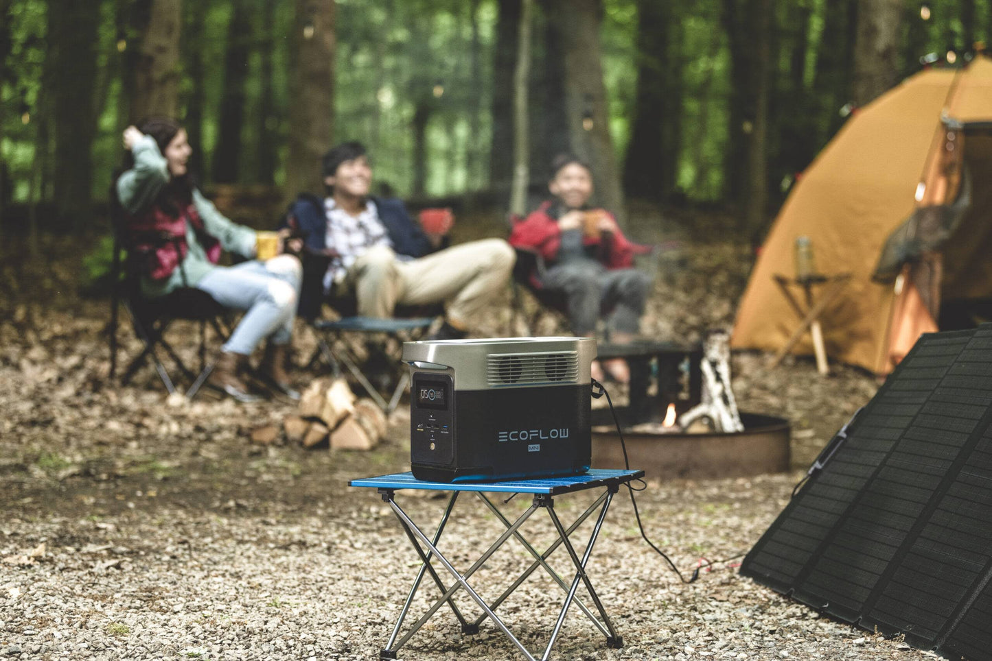 EcoFlow Delta Mini Portable Power Station